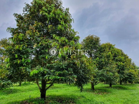 WhatsApp-Image-2024-06-10-at-17.31.19-2