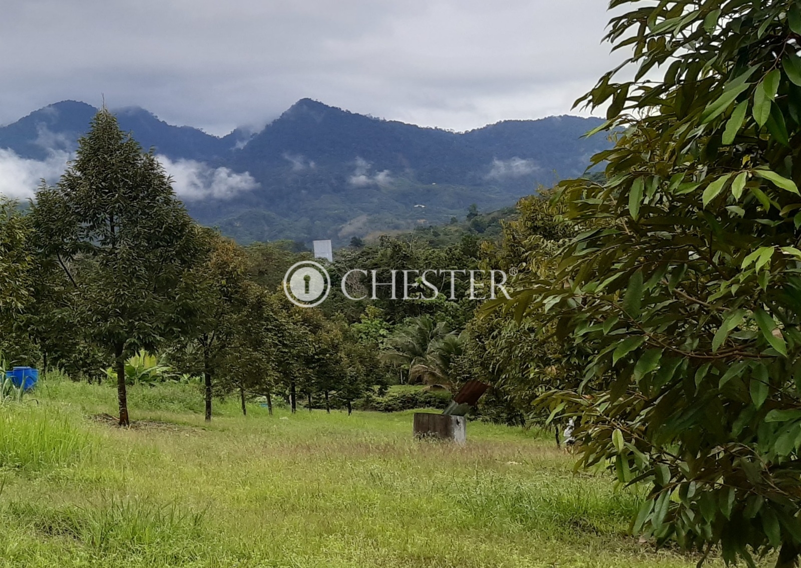 WhatsApp-Image-2024-06-10-at-17.31.20-2