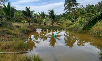 WhatsApp-Image-2024-06-10-at-17.31.20-3