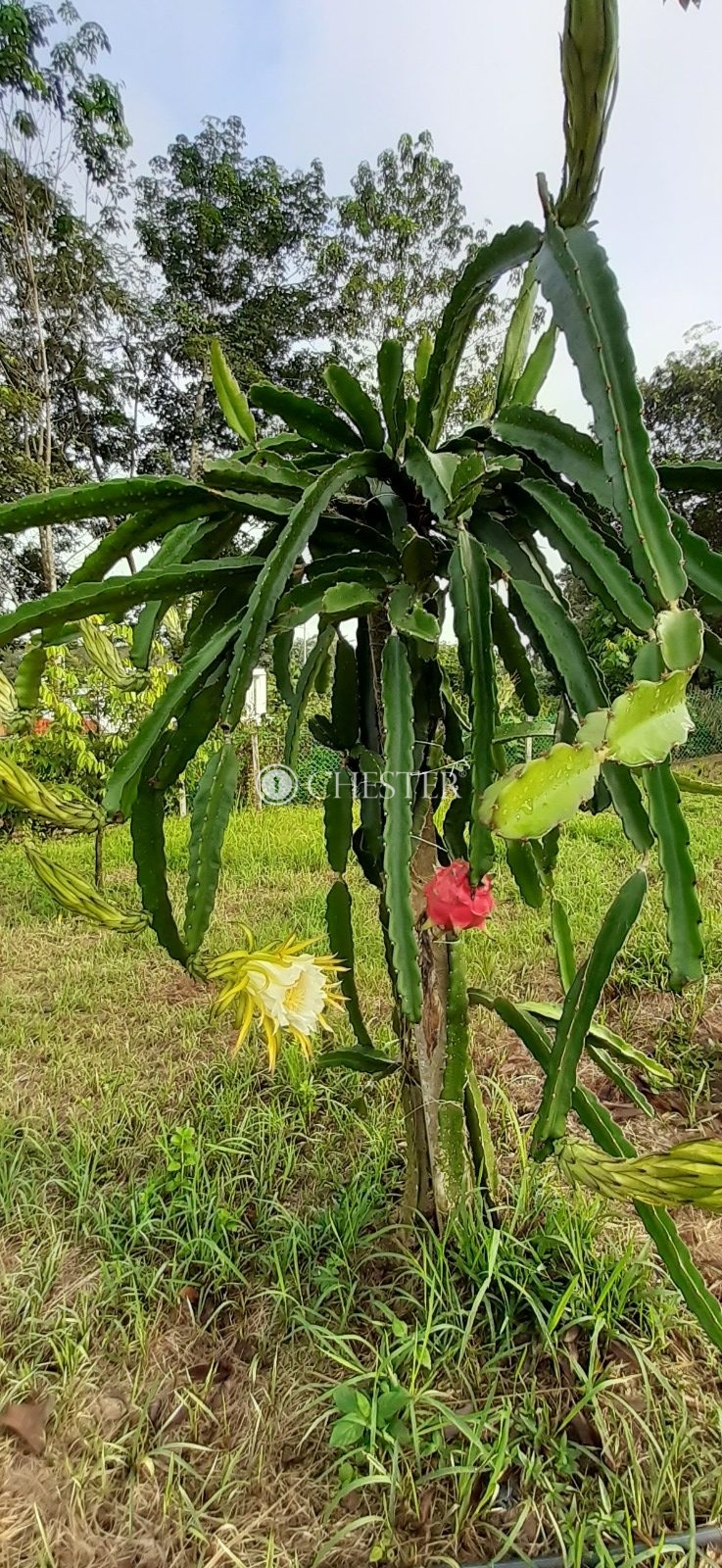 WhatsApp-Image-2024-06-10-at-17.31.20-rotated-1