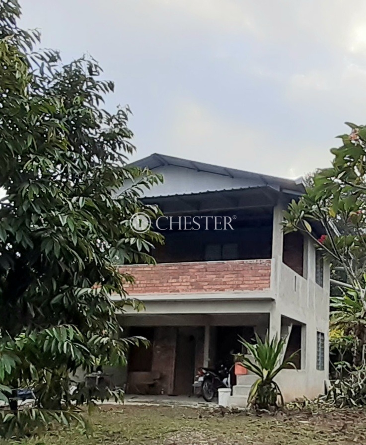 WhatsApp-Image-2024-06-10-at-17.31.21-2