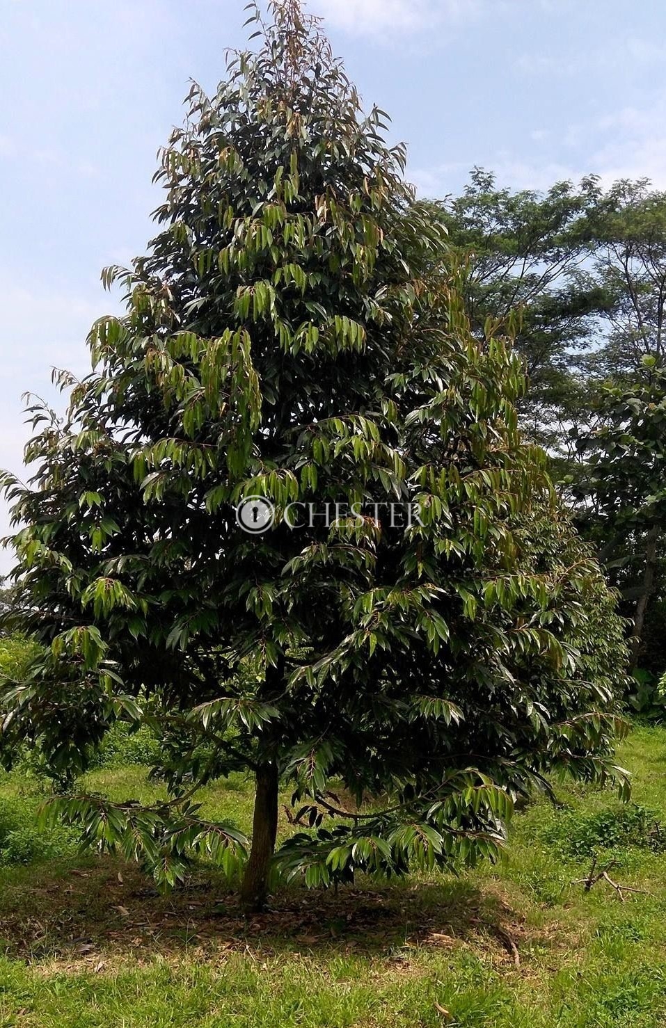 WhatsApp-Image-2024-06-10-at-17.31.21