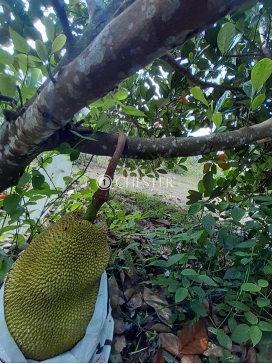 WhatsApp-Image-2024-06-10-at-17.31.22-1