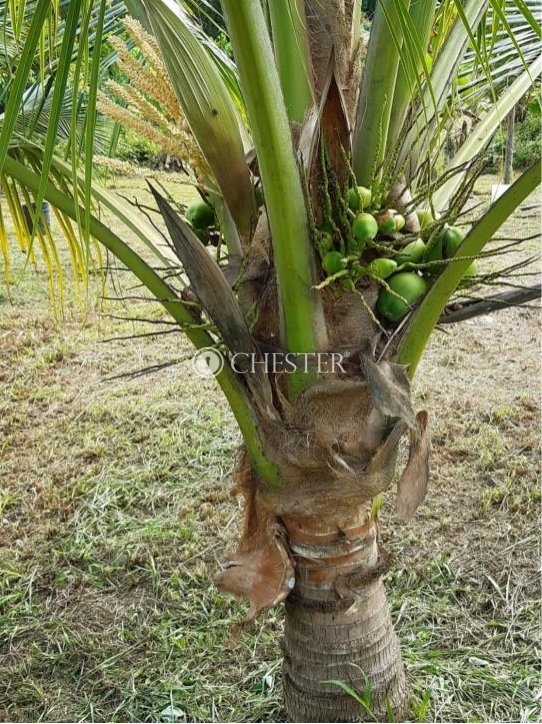 WhatsApp-Image-2024-06-10-at-17.31.22-2