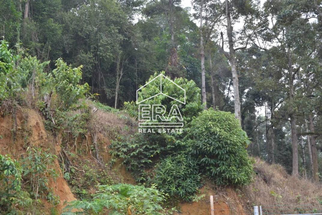 WhatsApp-Image-2025-05-04-at-16.30.45