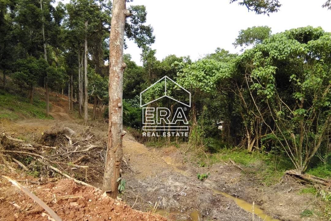 WhatsApp-Image-2025-05-04-at-16.30.48-2