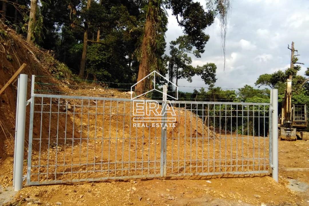 WhatsApp-Image-2025-05-04-at-16.30.50