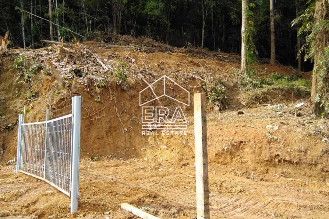 WhatsApp-Image-2025-05-04-at-16.30.51