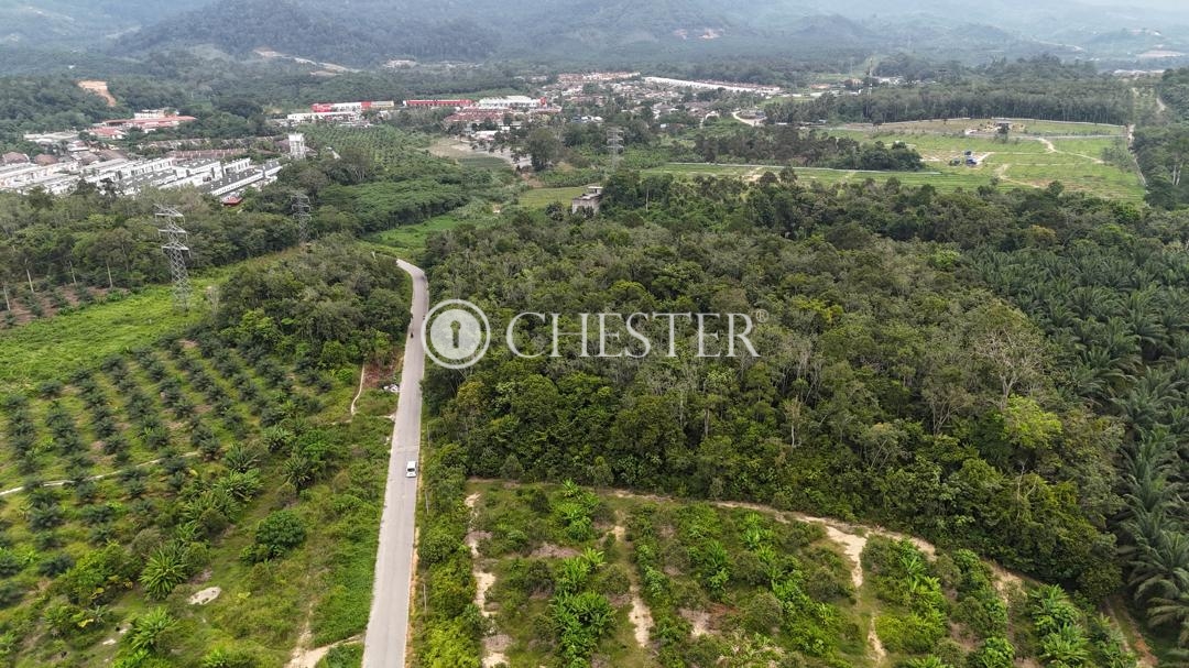 WhatsApp-Image-2025-08-25-at-17.32.39_00ce0b04-1