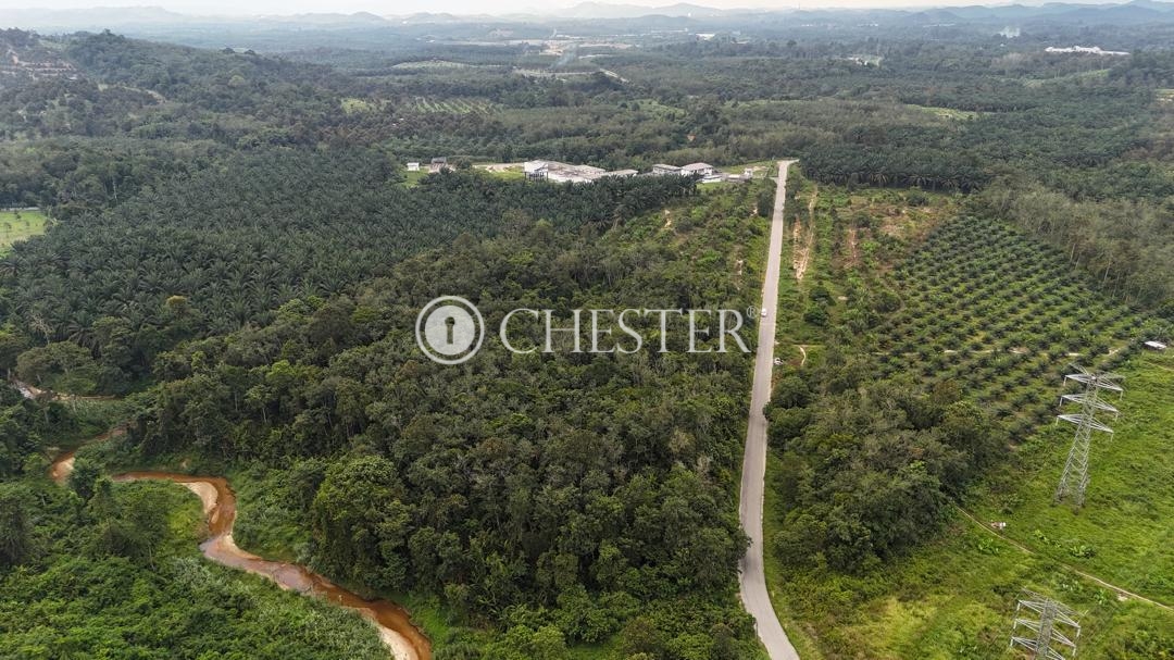 WhatsApp-Image-2025-08-25-at-17.32.41_de54275b