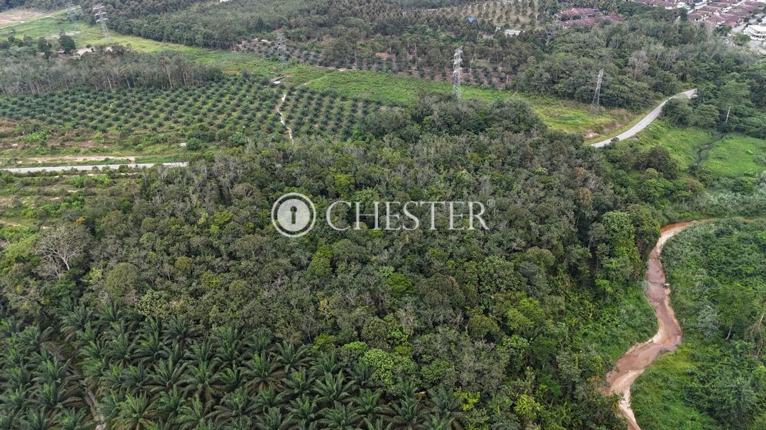 WhatsApp-Image-2025-08-25-at-17.32.43_bacf0da1