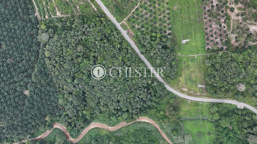 WhatsApp-Image-2025-08-25-at-17.32.45_f2787b0f