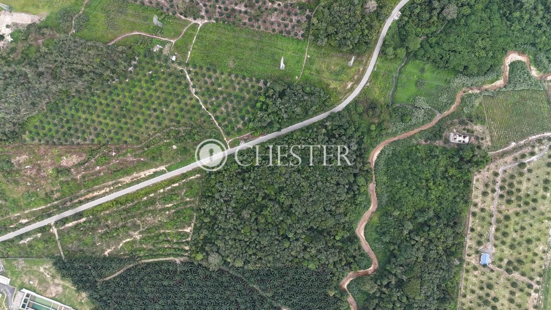 WhatsApp-Image-2025-08-25-at-17.32.46_106ffd86