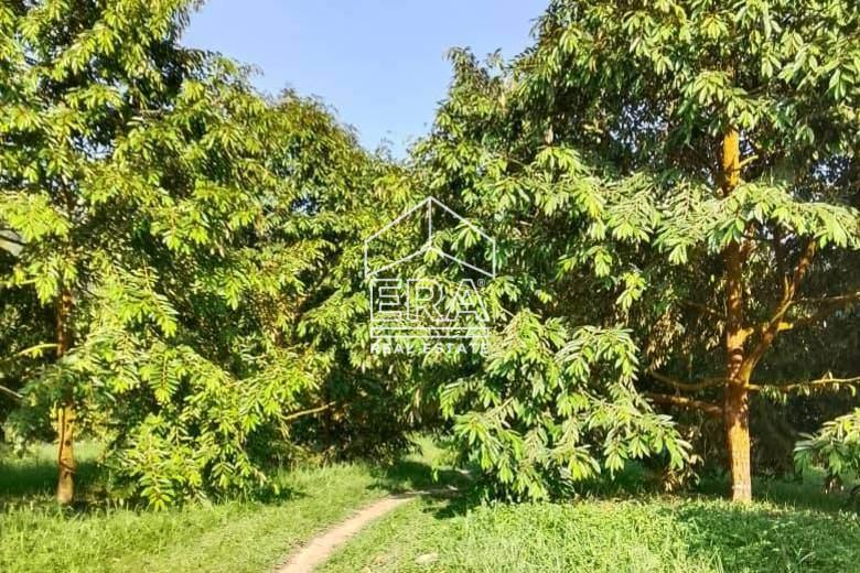 WhatsApp-Image-2026-01-19-at-16-crushimage