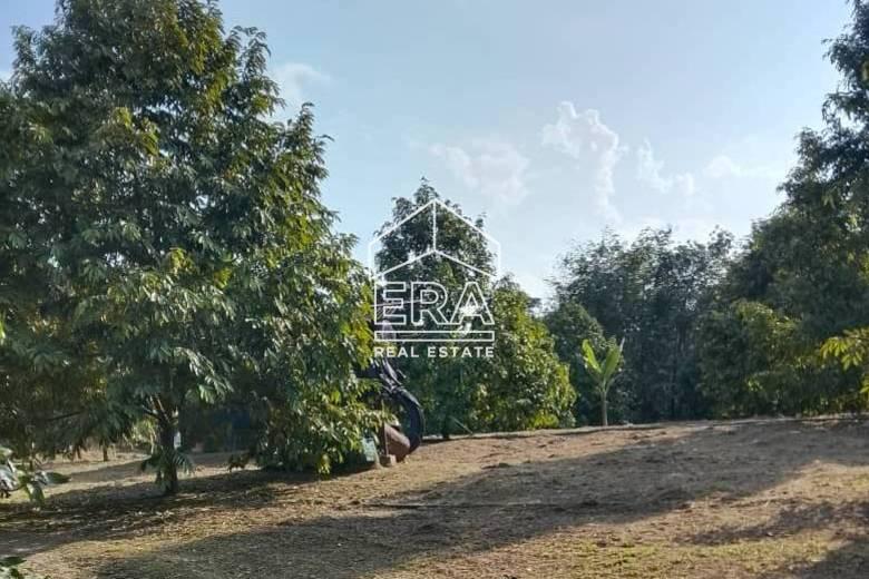 WhatsApp-Image-2026-01-19-at-16.01.38