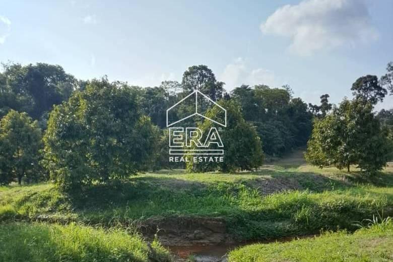 WhatsApp-Image-2026-01-19-at-16.01.40-1-1