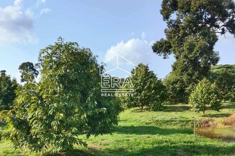 WhatsApp-Image-2026-01-19-at-16.01.40-2