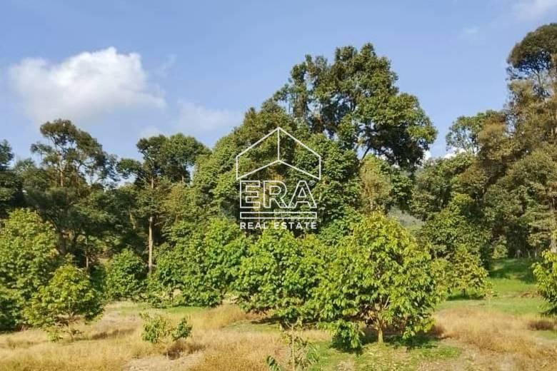 WhatsApp-Image-2026-01-19-at-16.01.40