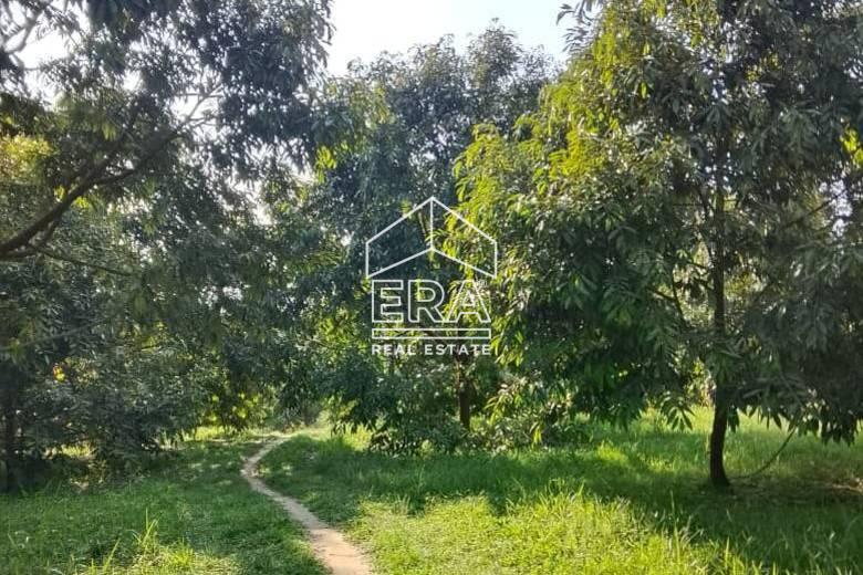 WhatsApp-Image-2026-01-19-at-16.01.42