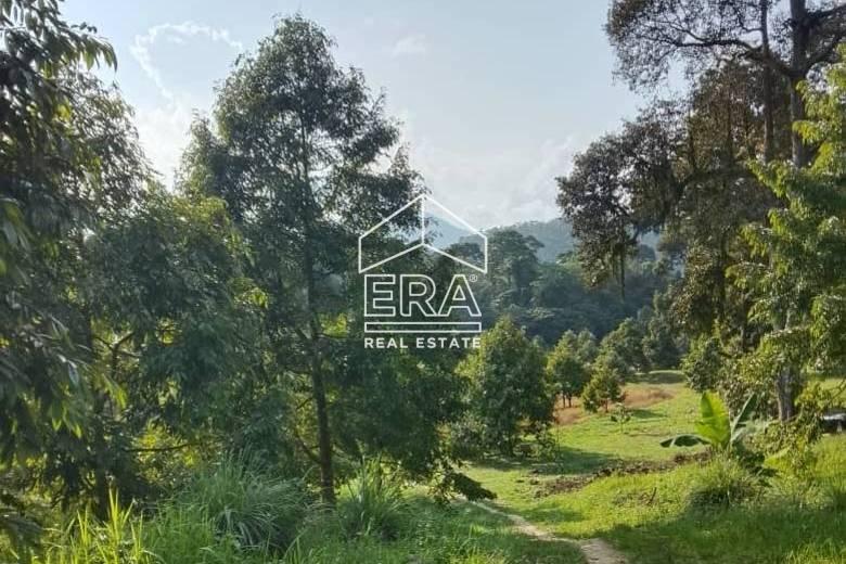 WhatsApp-Image-2026-01-19-at-16.01.43-1