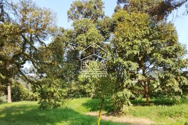 WhatsApp-Image-2026-01-19-at-16.01.46-1