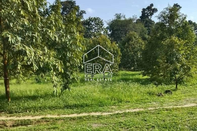 WhatsApp-Image-2026-01-19-at-16.01.46-2