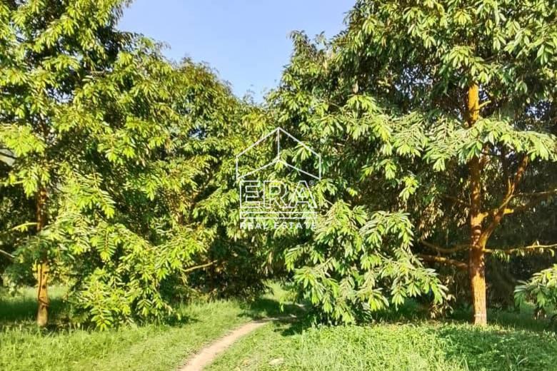 WhatsApp-Image-2026-01-19-at-16.01.46