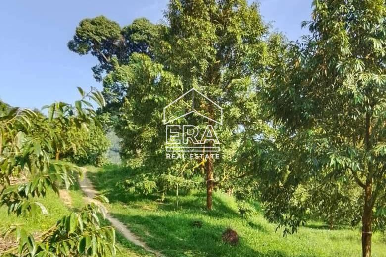 WhatsApp-Image-2026-01-19-at-16.01.47