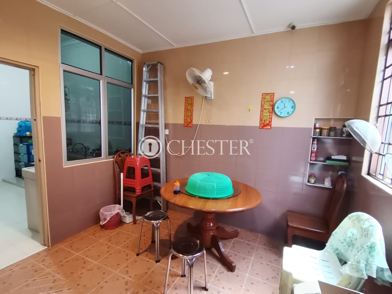 WhatsApp-图像2024-05-25于19.32.18_99c13ea1