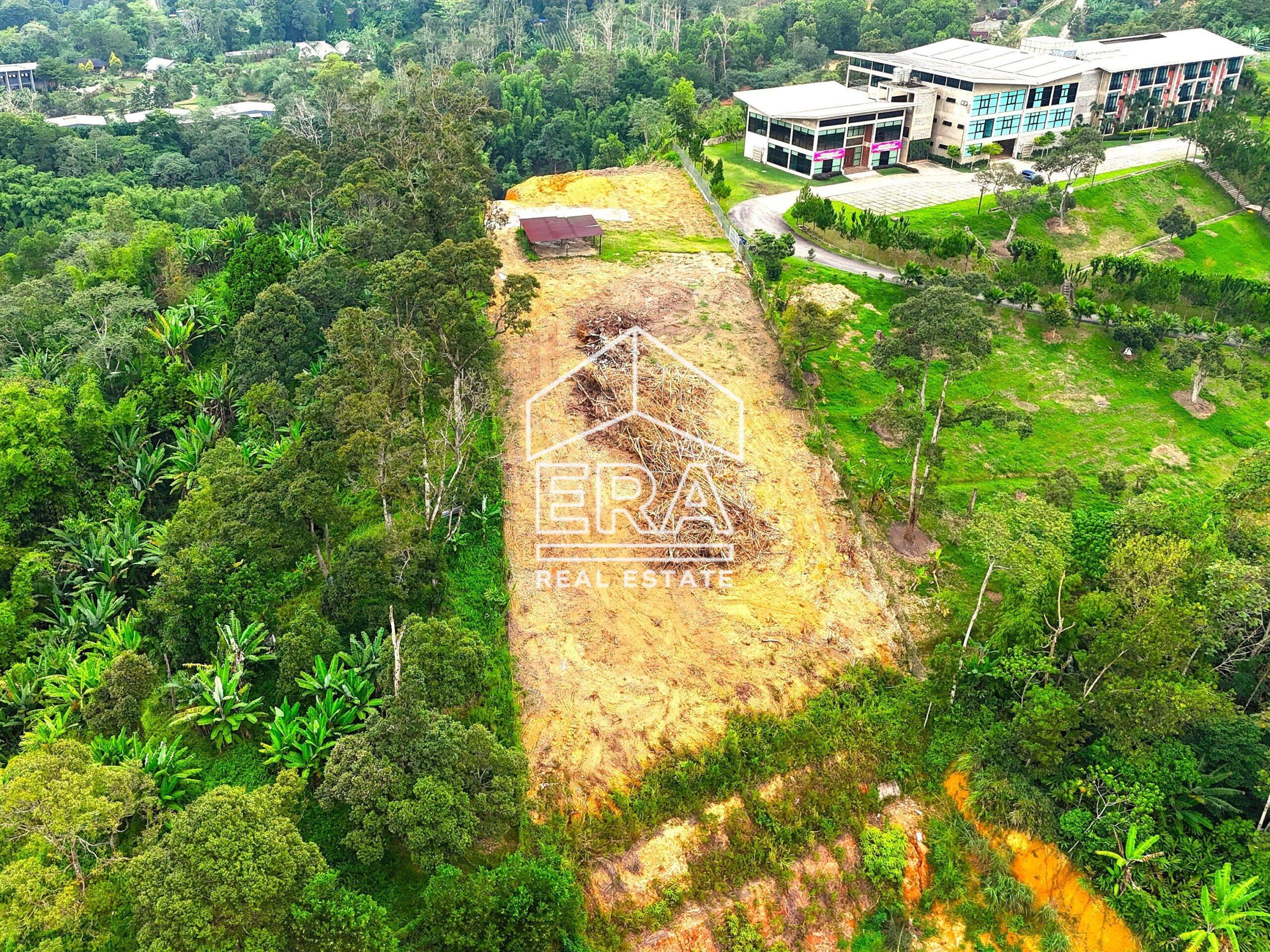 dji_fly_20240712_185710_0487_1720952707984_photo-crushimage_cropped-scaled-1