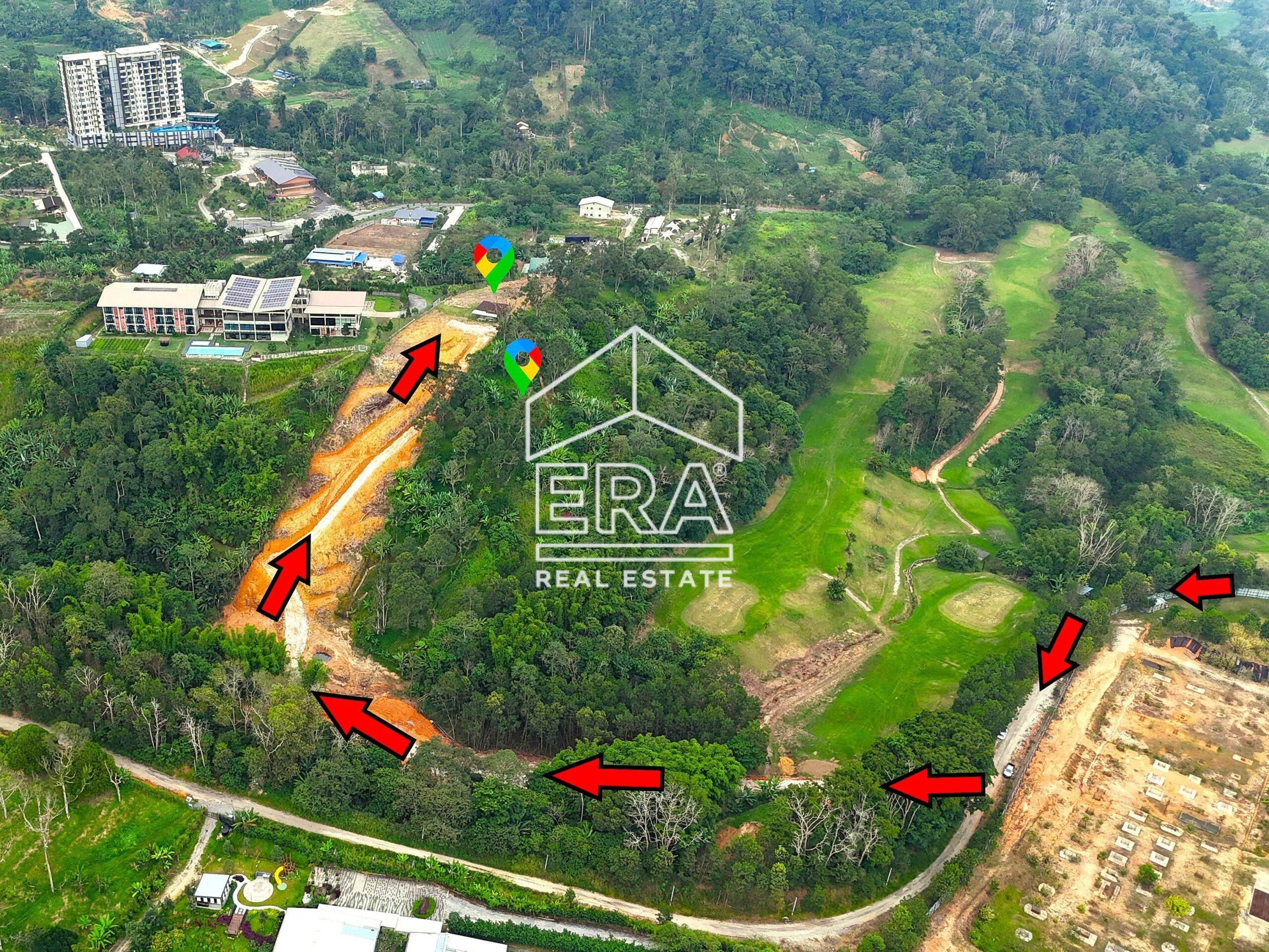 dji_fly_20240712_190636_0491_1720952706996_photo_-crushimage_cropped-scaled-1