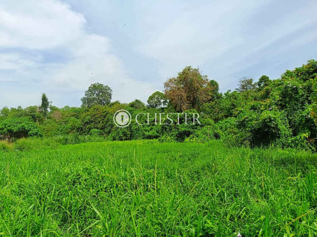 rm-600k-cash-n-carrye280bcefb88f-1ac-mentakab-development-land-for-sale-2