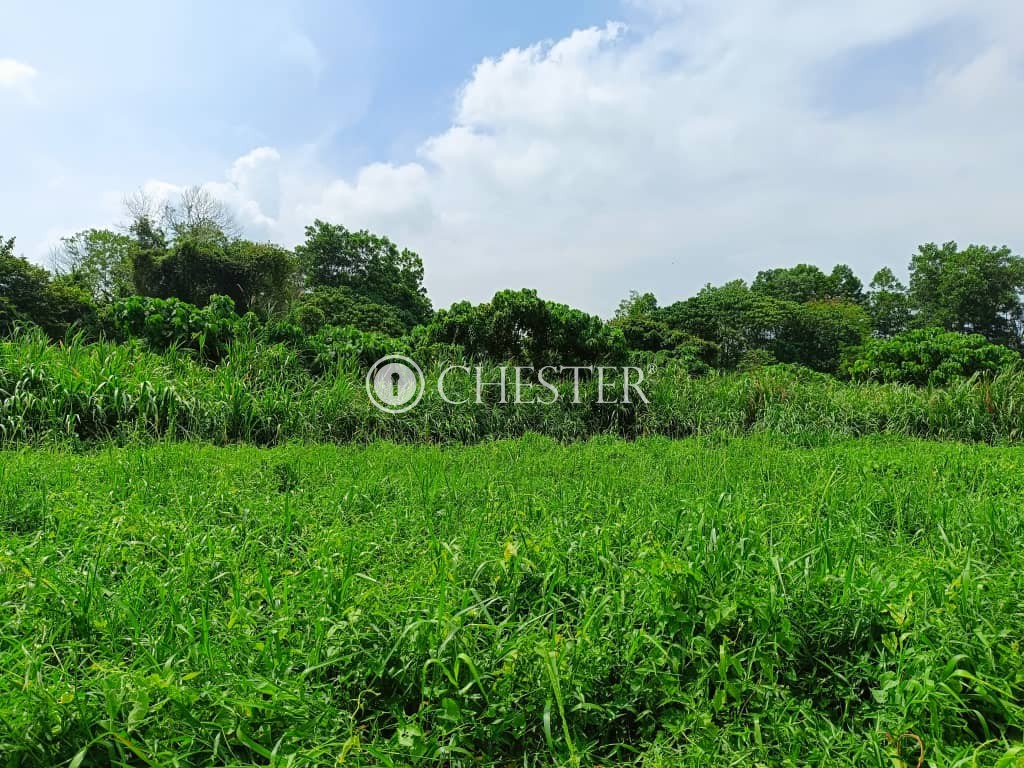 rm-600k-cash-n-carrye280bcefb88f-1ac-mentakab-development-land-for-sale-4